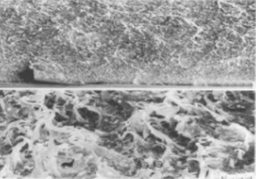 Microscopic Surface of Ductile Fracture Microscopic Surface of Ductile Fracture