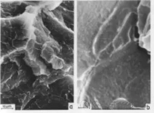 Brittle Fracture Macroscopic Surface Brittle Fracture Macroscopic Surface